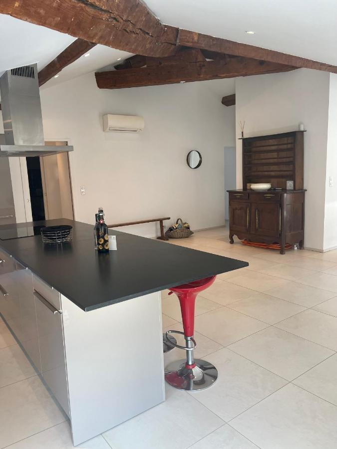 Grand Appartement Style Loft Bord De Mer Propriano  Exterior photo